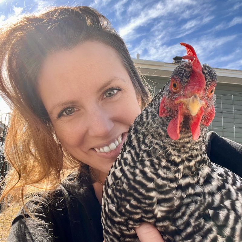 Vanessa Valarese holding barred rock chicken named Winnie